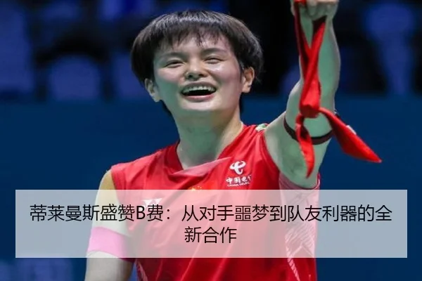 蒂莱曼斯盛赞B费：从对手噩梦到队友利器的全新合作